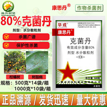 �A�ֿ�˼��80%�˾������ٹ����֬��ɳƤ���Ú��������l��Ʒ�rș