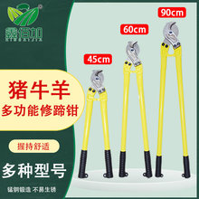 牛羊修蹄钳批发兽用剪蹄钳兽用剪蹄钳子动物蹄子修剪工具修羊蹄钳