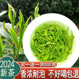 毛尖茶叶绿茶2024新茶信阳毛尖散装浓香型炒青绿茶袋装500g自己喝