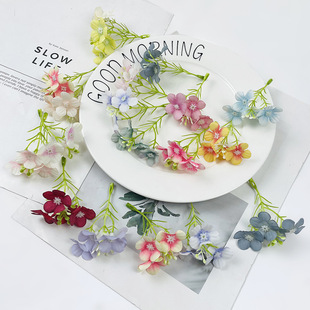 �����ɫ4�潑���r�ջ� diy�^��������ϰ���������ҾӔzӰ����