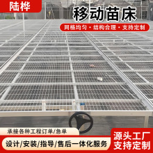 温室移动苗床网果蔬养殖育苗培育网片双层育秧潮汐式苗床花卉种植
