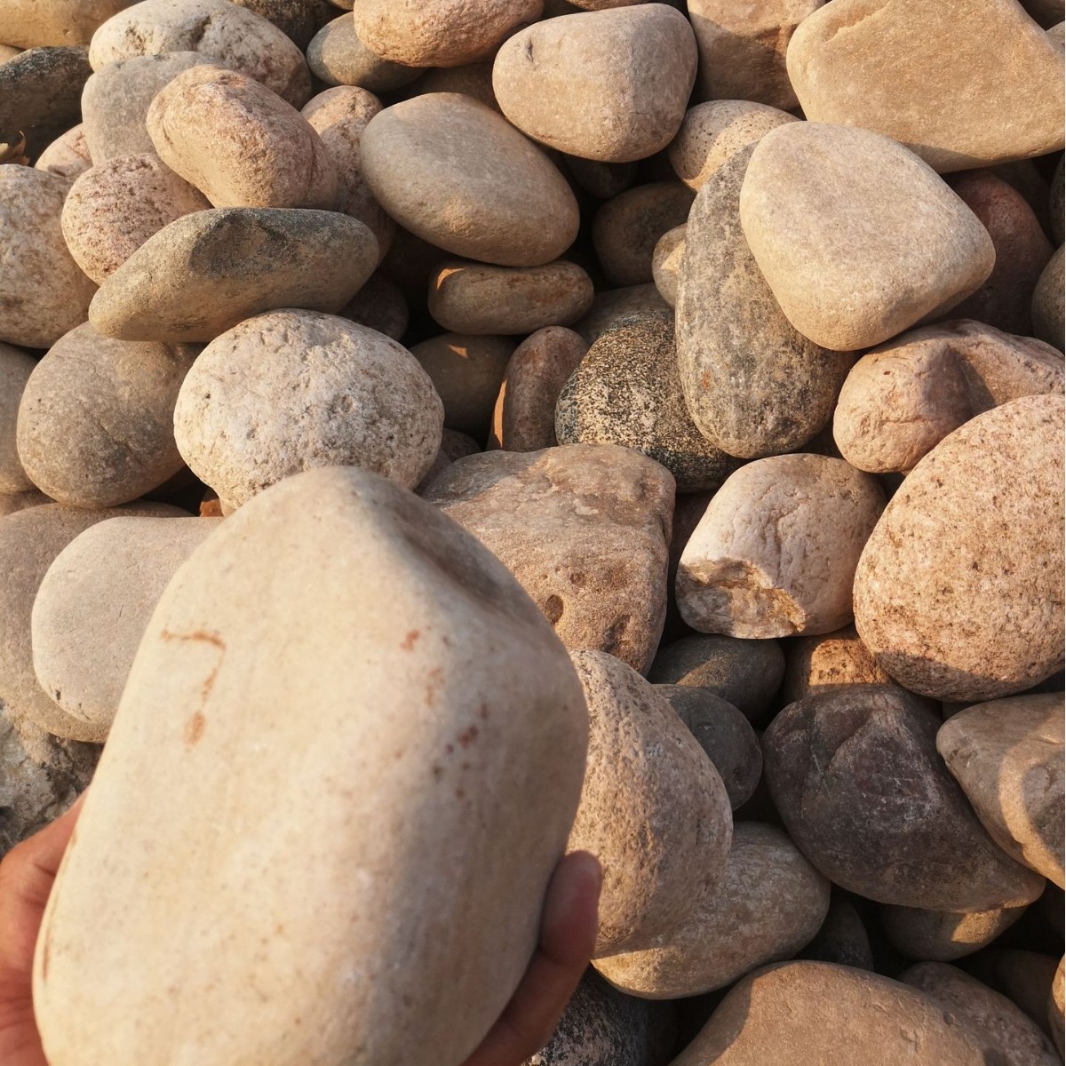 矿区批发外墙鹅卵石 造景园林脚踏石 泥块含量小于0.01