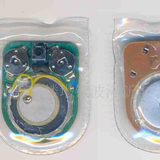 IC 130*93707726杭州波涛新电子元件厂 供音乐芯片--男儿当自强IC