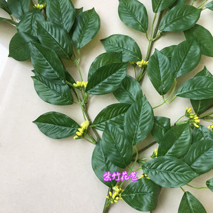 ������~���w�^�z���~�����[���~�ӾG���@����@����ܛ�b��ˇ