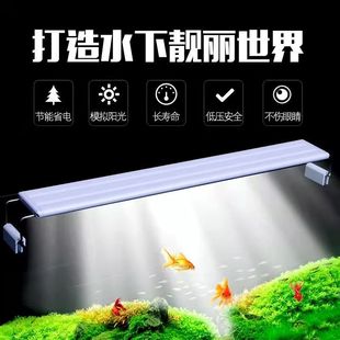 Fish Tank Fish Tank Lamp Aquatic Plant Lamp Full Spectrum Led Energy-Saving Lamp Landscaping Lamp Turtle Sunbathing Lamp Small and Medium Fish Tank Lamp