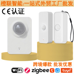 国境を越えた工場落書きWiFi人体動作検知センサースマートホームzigbee赤外線センサー