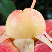 �Fժ���rˮ���ҽﮔ���ЋDˮ�����������r������Ѫ��ܛ������