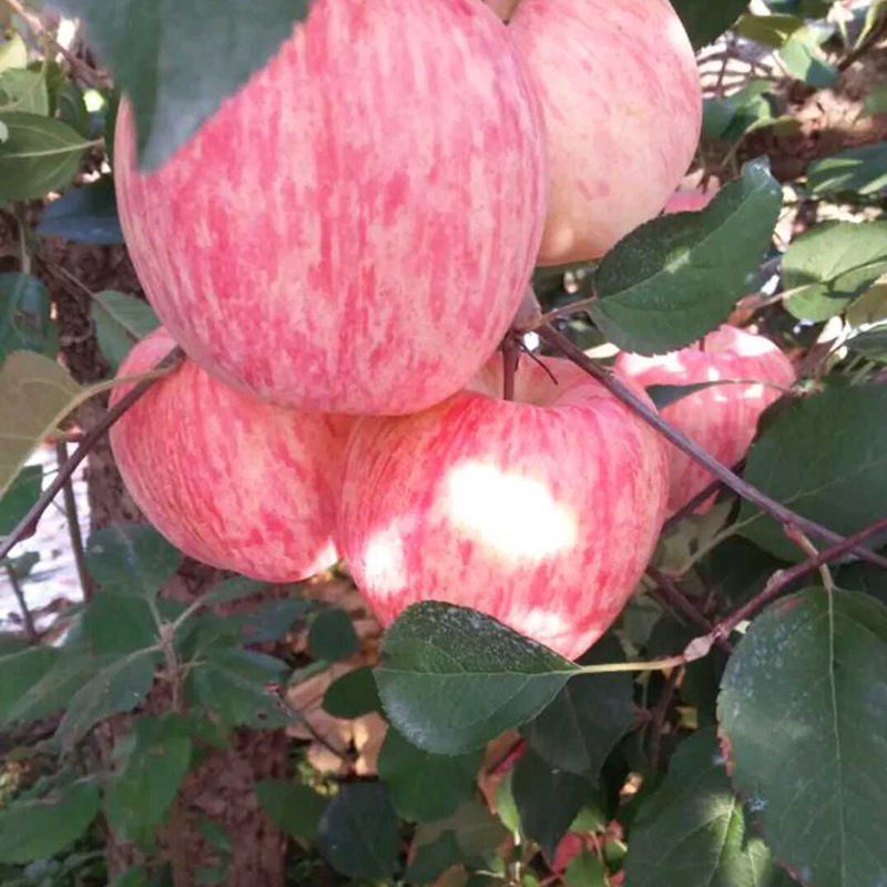 超级截屏_20200225_173941_comps