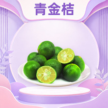 海南青金桔 代发1/2/3/5斤彩箱整箱多汁脆甜清甜果香浓郁新鲜水果