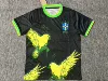 2526 Brazilian black and yellow bird version