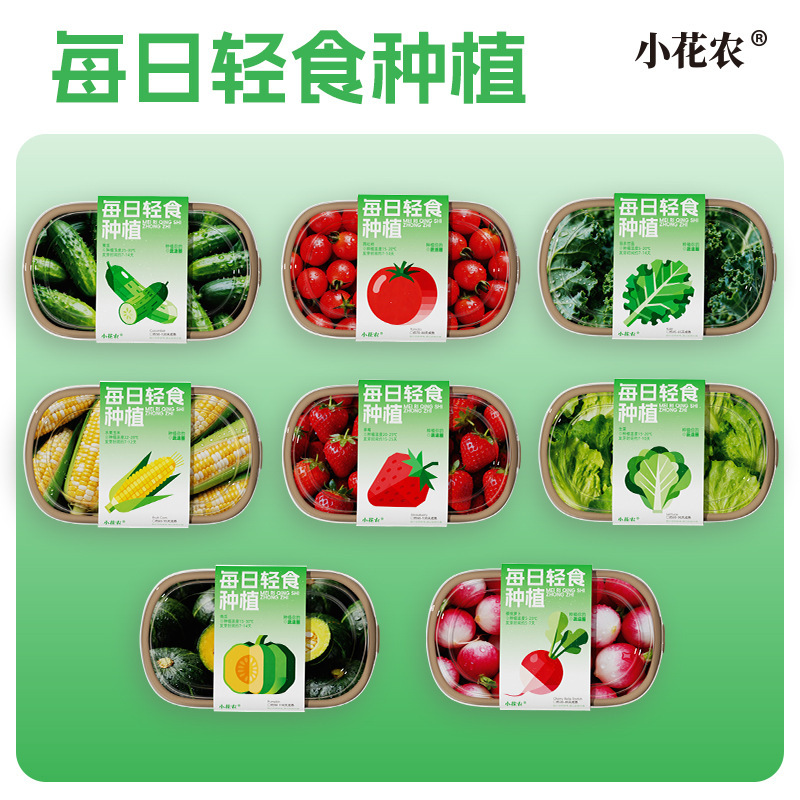 Little Flower Farmer's Daily Light Meal Vegetable and Fruit Planting, Desktop Plant Cultivation, Educational DIY Planting for Children and Students Little Flower Farmer's Daily Light Meal Vegetable and Fruit Planting, Desktop Plant Cultivation, Educational DIY Planting for Children and Students