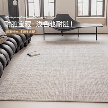 现代简约防水抗污地毯客厅免洗可擦轻奢高级感沙发垫易打理床边毯