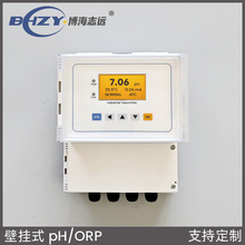 壁挂式工业在线ph计ORP计酸度计控制器变送器氧化还原电位pH监测