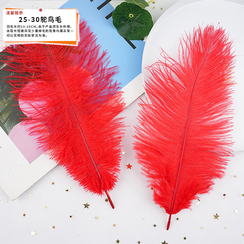 57 メーカーが既製の大きな赤い羽の DIY ジュエリー アクセサリー、衣類、工芸品、装飾材料を供給しています。|undefined