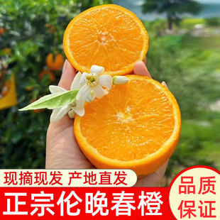 �������w�������Ӵ������r�Fժ�F�l�����r��ˮ�����l��ȶ�֭����