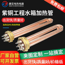 紫铜DN40/50空气能暖气片加热管1.5寸电加热棒380V工程水箱电热管
