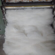 S aƯםhwS |wS Lڹ gӭӆُ