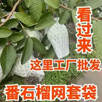 Сетчатый мешок для гранатов, сетчатый мешок для защиты от насекомых для гуавы, встроенный пенопластовый упаковочный мешок, мешок для гранатов, сетчатый мешок для фруктов