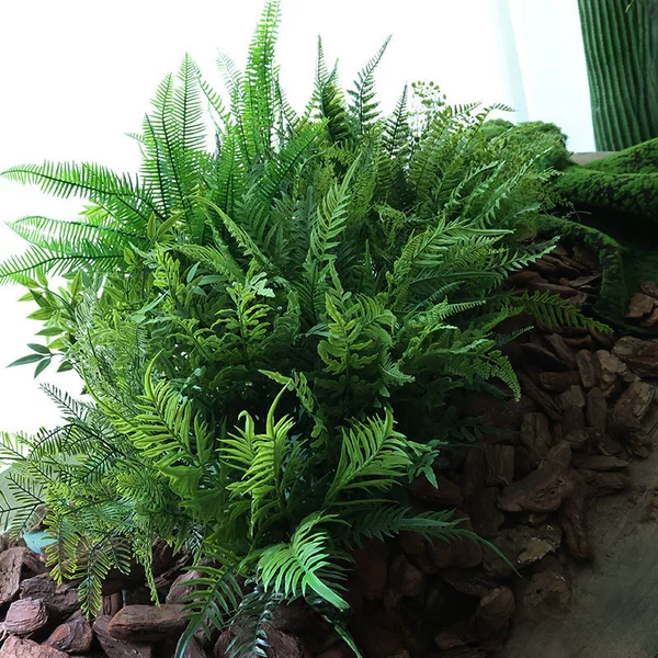 Artificial feel Fern Persian grass Fern grass ground decoration small green plant wholesale plant wall accessories