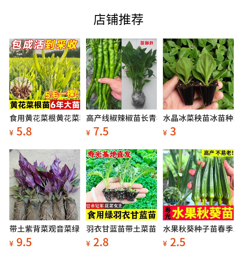详情图