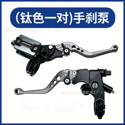 Clutch Handle Assembly Parts — Motosiklet ləvazimatları və aksesuarları - titanium-color-a-pair-of-upper-pumps