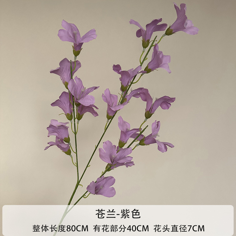 보라색