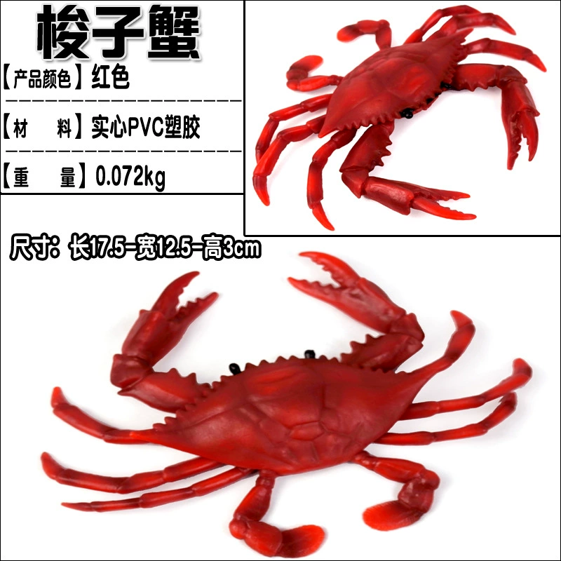 Игрушка, большие морские когнитивные украшения