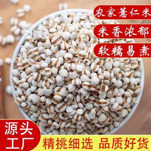޲��������s�Z��؛޲�����Ҝ����l�r�aƷ޲���׸��w�B��ʳ��