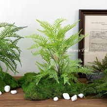 ɭϵ�쾰��ˇ�Pβ�ݷ���Gֲ�Ҿӷ��滨�ٻ��b�ާ����ֲ������