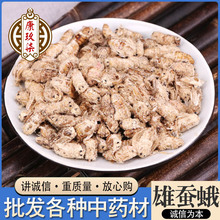 中药材批发雄蚕蛾新货雄蚕蛾晚蚕蛾泡酒原料承接药店订单量大从优
