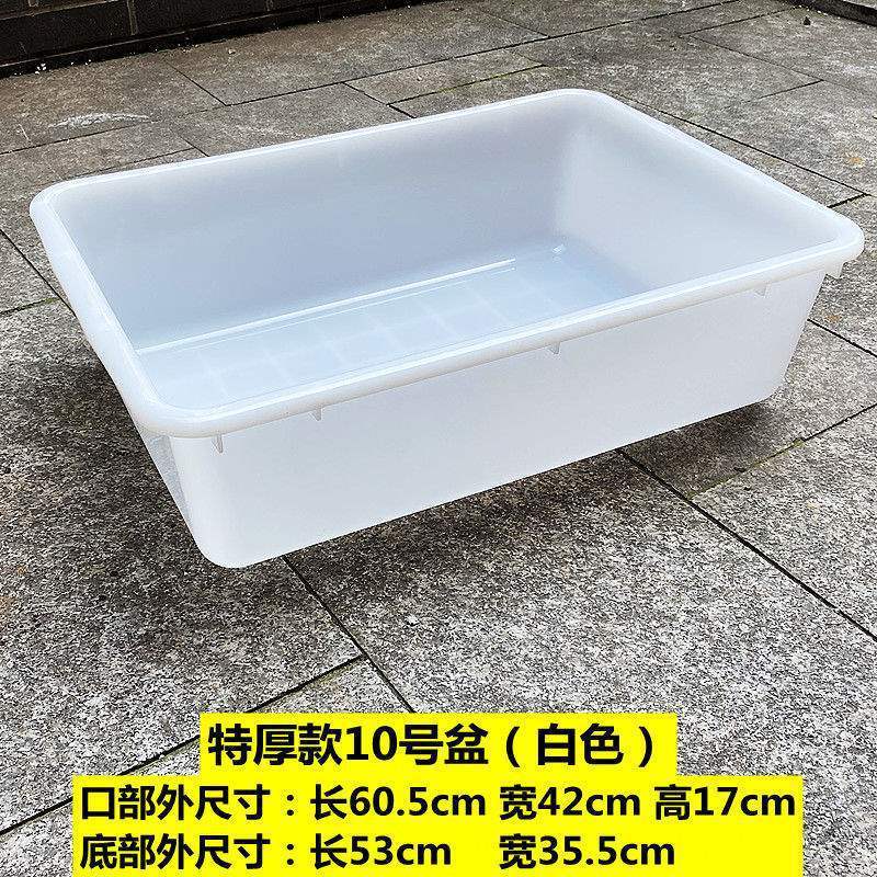 長方形のプラスチックのたらいの家庭用の池の洗面器は白いたらいを大きくします。|undefined