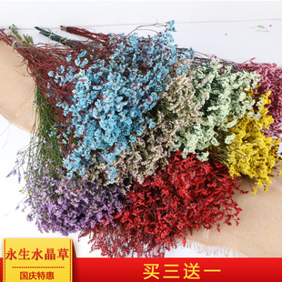 ���������ˮ�������l�ɻ������Ҿ��b廨�}�Q������bY��