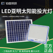 亚明照明太阳能LED投光灯户外防水庭院灯吊灯农村室外太阳能路灯