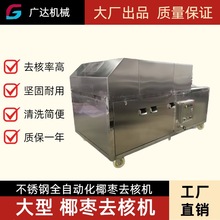 广达 不锈钢椰枣果蔬去核器全自动红枣取核机厂家直销