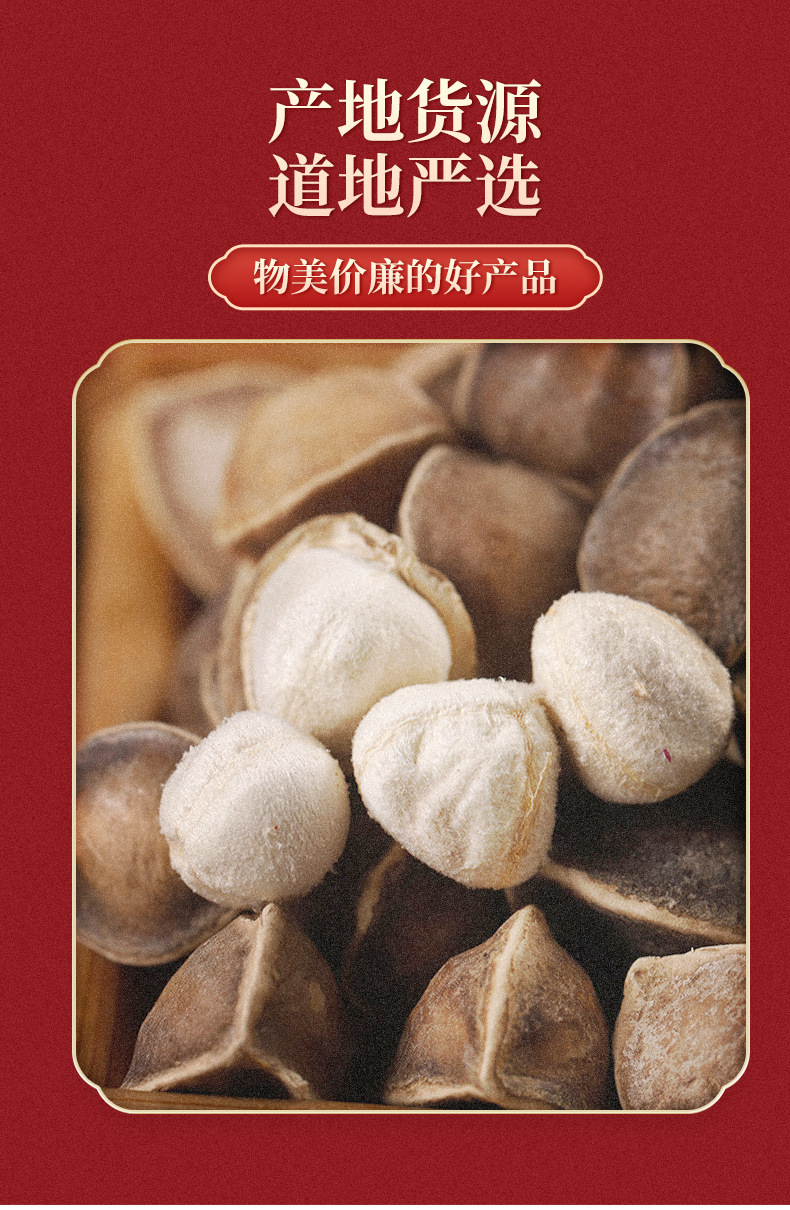 Moringa Seeds La Mu Zi Large Grade Dried Seeds 500g Bulk Pack quality and texture