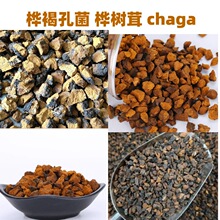 长白山白桦茸黑金白桦茸茶包原料桦树茸桦褐孔菌chaga50g100g500g