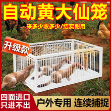 F؛SdaɌșBuCھWsץĻ\