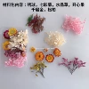 Minghua dried flower bag