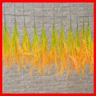 ����ֲ�����ˮ����@�Lע��ˮ���[���b��L�̗Uˮ���Ĕz�b���