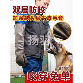 扬羽双层头层皮训狗防狗抓咬手套大型犬训犬师捕捉蛇虫宠物防抓咬