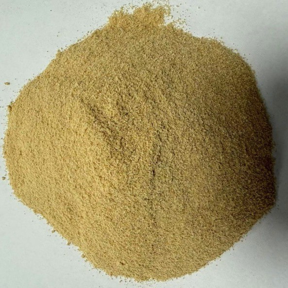 2025-05-05 11:50:05.jpg