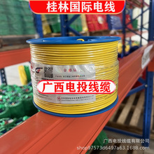 桂林国际电线电缆穿山牌ZCBV1.5 2.5 4 6 10 16平方铜芯电线单股