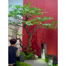 �߶˷���G�����uצ�ʿ�ɽˮ�҃Ȳ��Ҿ��^�٘�Gֲ�쾰�b����b