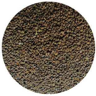 ���S�ηN�����l�ļ��Nֲ�ѿ��̨���Լ�ͥ�@ˇș��ș�ķN�ӻ���