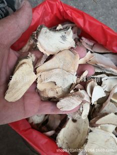 ��ș�č�÷�� ����y �c�Ӹ� ���Ǹ� ɽ÷�� ��Ƥ��ɢ�b��؛500��