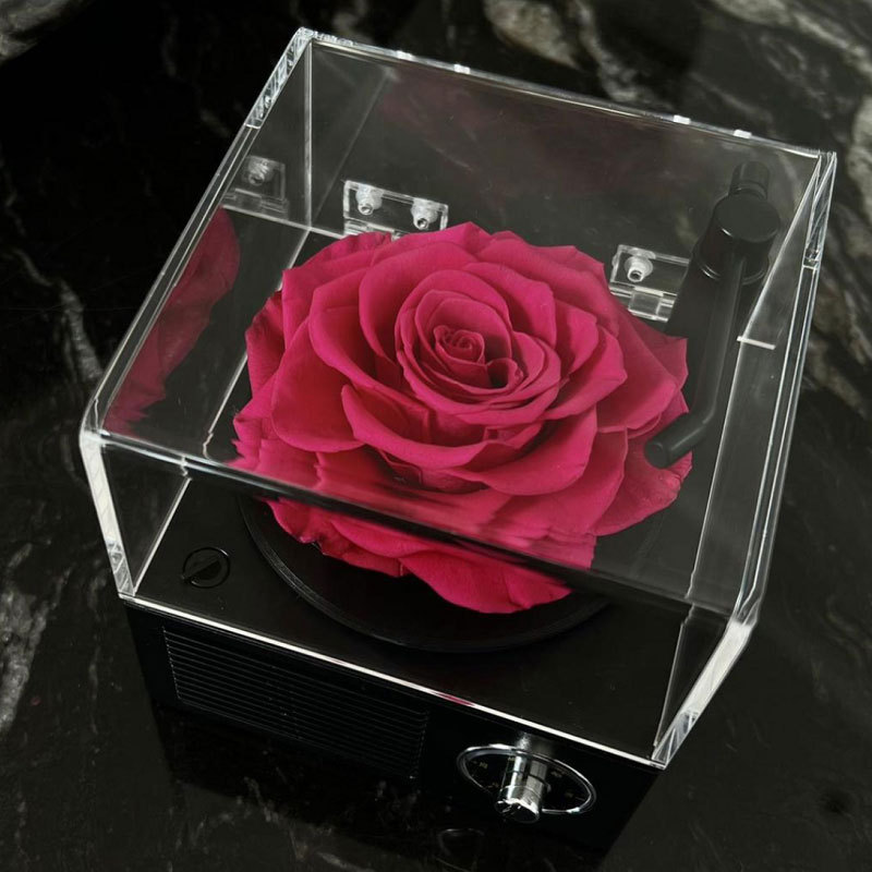 Flor eterna fonógrafo Luz de gama alta de lujo altavoz Bluetooth Rosa caja de música Regalo de Cumpleaños de los hombres para la novia