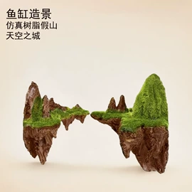 造景/装饰;鱼缸;造景石