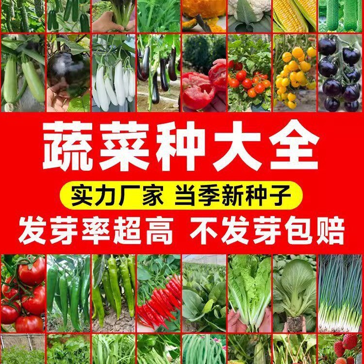 蔬菜种子水果种子封装小包种子跨境种子儿童礼物四季种植蔬果种子