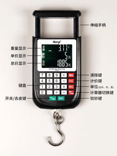 Wholesale Electronic Pocket Scale Portable High-Precision Gram Scale Household Vegetable Measuring Scale Fishing Weighing Courier Hook Scale