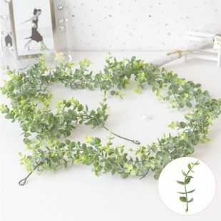 �S�����l ����ֲë�ȼ����ٗl��ֲ���~�����ٲ� ���ϻ�c�����b�